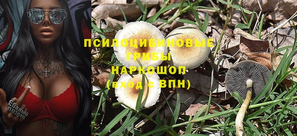амфетамин Белокуриха